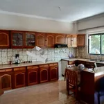 Rent 3 bedroom apartment of 195 m² in Spata-Loutsa Municipal Unit