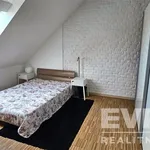 Rent 1 bedroom house of 150 m² in Pardubice