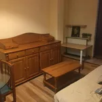 Rent 1 bedroom apartment of 40 m² in Madrid