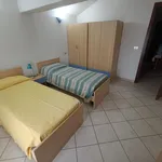 Rent 4 bedroom apartment in Bologna