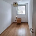 großartige wohnung in hinterstoder