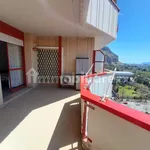 Rent 2 bedroom apartment of 60 m² in Palermo