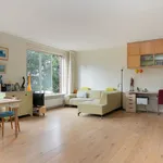 Rent 2 bedroom apartment of 70 m² in Haarlemmerbuurt