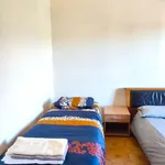 Rent a room in Ceccano