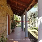 Rent 6 bedroom house of 221 m² in Termini Imerese