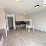 Rent 1 bedroom apartment of 41 m² in Capital City of Prague