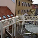 Rent 1 bedroom apartment of 38 m² in České Budějovice