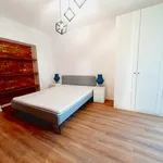 Rent 2 bedroom apartment of 33 m² in Kielce