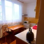 Rent 3 bedroom apartment of 51 m² in Staré Město pod Landštejnem