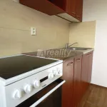 Rent 1 bedroom apartment in Třebíč