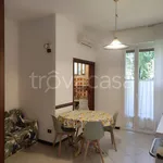 Rent 3 bedroom apartment of 82 m² in Milano