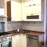 Rent 3 bedroom apartment of 110 m² in Verona