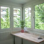 Rent 2 bedroom apartment of 57 m² in Dresden