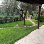 Rent 4 bedroom house of 110 m² in Carovigno