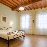 Rent 1 bedroom apartment of 65 m² in florence