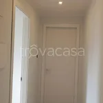 Rent 3 bedroom apartment of 70 m² in Roma