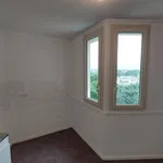 Rent 4 bedroom apartment of 92 m² in Montigny Le Bretonneux