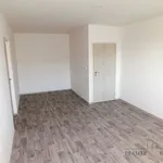 Rent 3 bedroom apartment of 75 m² in Hodonín