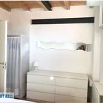 Rent 4 bedroom apartment of 100 m² in Bologna