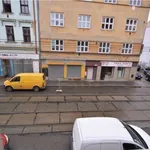 Rent 1 bedroom apartment of 1 m² in Brno