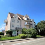 Rent 3 bedroom apartment of 78 m² in MATZENHEIM