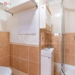 Rent 2 bedroom apartment of 42 m² in Mělník