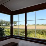 Rent 3 bedroom house of 120 m² in zeeland