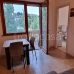 Rent 1 bedroom apartment of 34 m² in Perugia