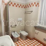 Rent 1 bedroom apartment of 30 m² in Biella