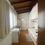 Rent 1 bedroom apartment of 70 m² in Vicenza