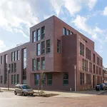 Huur 2 slaapkamer appartement van 120 m² in Eindhoven