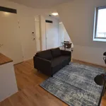 Huur 2 slaapkamer appartement van 50 m² in Sittard-Centrum