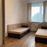 Rent 2 bedroom apartment of 54 m² in Poznan