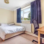 Rent 4 bedroom house in Winchester