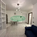 Rent 2 bedroom apartment of 55 m² in San Donato Milanese