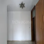 Rent 3 bedroom apartment of 80 m² in Padova