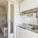 Rent a room in bologna