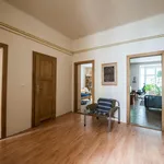 Rent 2 bedroom apartment of 130 m² in Prague