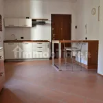 Rent 1 bedroom apartment of 33 m² in Cremona