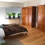 Rent 4 bedroom apartment of 100 m² in Wiesloch