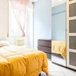 Rent a room of 80 m² in rome