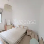 Rent 2 bedroom apartment of 54 m² in Milano