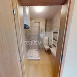 Rent 1 bedroom apartment in Havlíčkův Brod