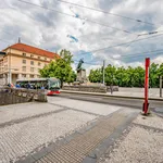 Pronajměte si 3 ložnic/e byt o rozloze 97 m² v Prague