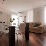 Rent 2 bedroom apartment of 140 m² in bologna