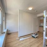 Rent a room of 20 m² in Hortusbuurt-Ebbingekwartier