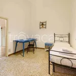 Rent 3 bedroom apartment of 80 m² in Firenze