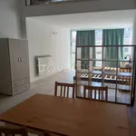 Rent 3 bedroom apartment of 52 m² in Carrara