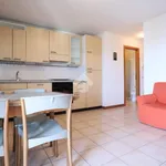 Rent 2 bedroom apartment of 50 m² in Tavagnacco