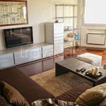 Rent 4 bedroom apartment of 135 m² in Padova